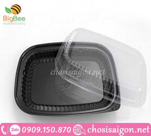 Cung cấp hộp nhựa 1 ngăn sỉ rẻ