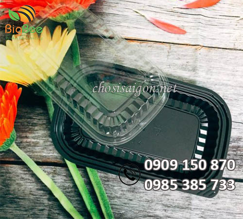 Hộp nhựa đế đen 1 ngăn HT17 sỉ rẻ
