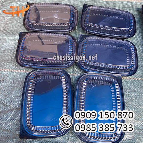 Hộp nhựa đế đen HT203 cao cấp, chất lượng sỉ rẻ