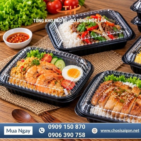 Hộp nhựa HT203 đựng thức ăn an toàn, chịu nhiệt tốt giá tốt