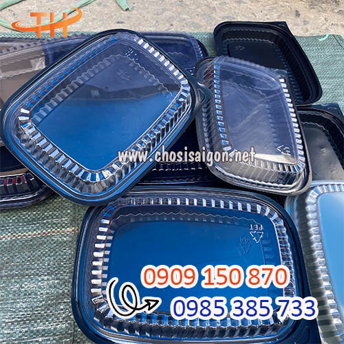 Hộp nhựa đế đen HT203 nắp pet trong giá rẻ