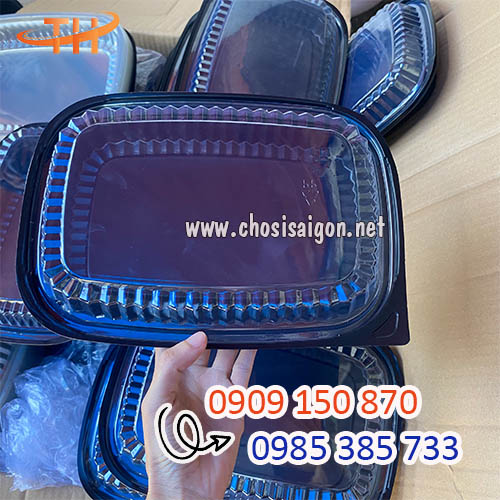 Hộp nhựa đế đen HT203 an toàn, chất lượng sỉ rẻ