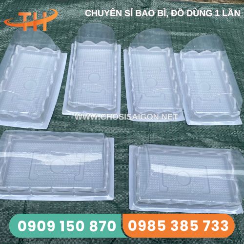 Hộp nhựa đựng bánh bông lan H19