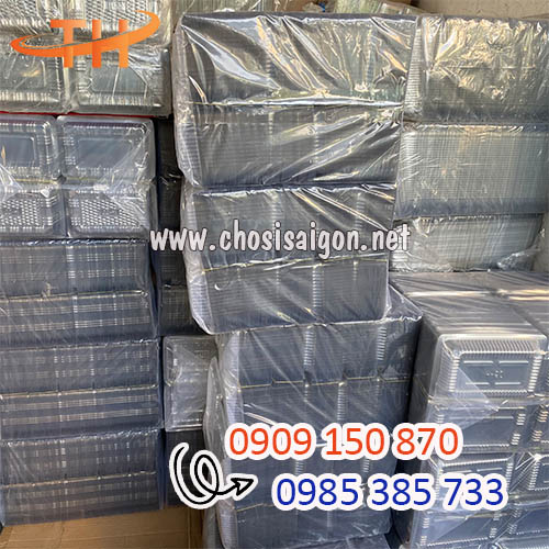Hộp nhựa đựng bánh sẵn kho số lượng lớn giá sỉ