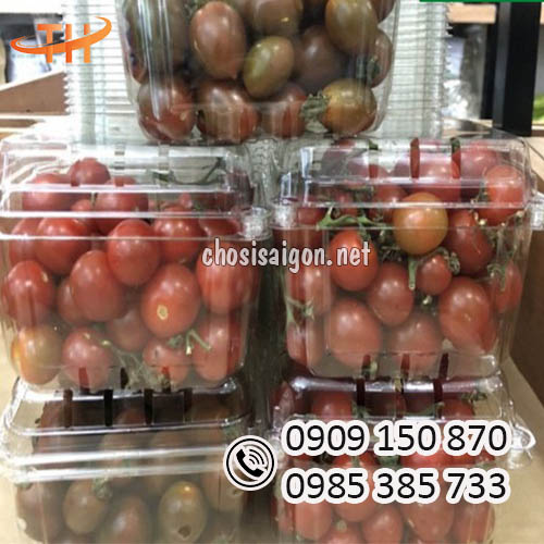 Giá tốt hộp nhựa đựng trái cây 1 ký