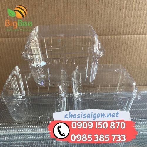 Gía sỉ rẻ nhất hộp nhựa đựng trái cây P500D 500g