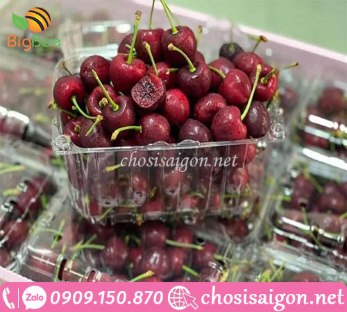Hộp nhựa đựng cherry giá rẻ tại Thu Hồng