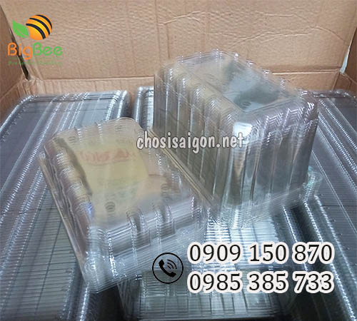 Hộp nhựa đựng trái cây 1kg có lỗ thoáng ký giá sỉ rẻ