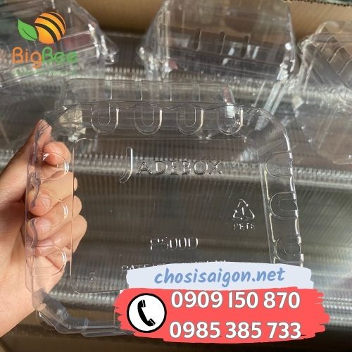 Hộp nhựa đựng trái cây sỉ rẻ nhất HCM