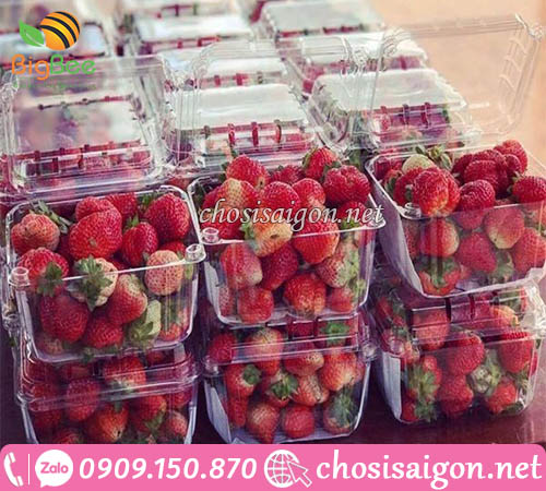 Bán hộp nhựa đựng dâu tây giá rẻ tại TP.HCM