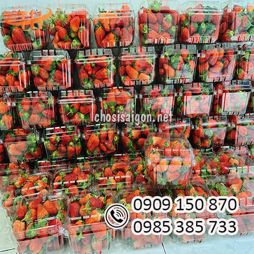 Hộp nhựa đựng dâu tây 500g chất lượng, giá tốt