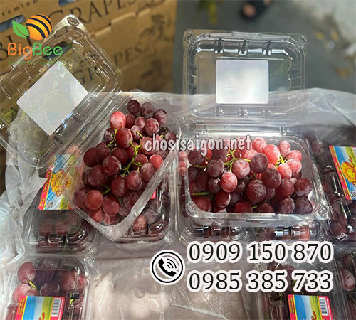 Hộp nhựa 500g đựng nho giá rẻ