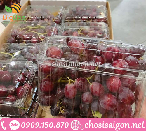 Mua hộp nhựa đựng nho giá rẻ tại TP.HCM