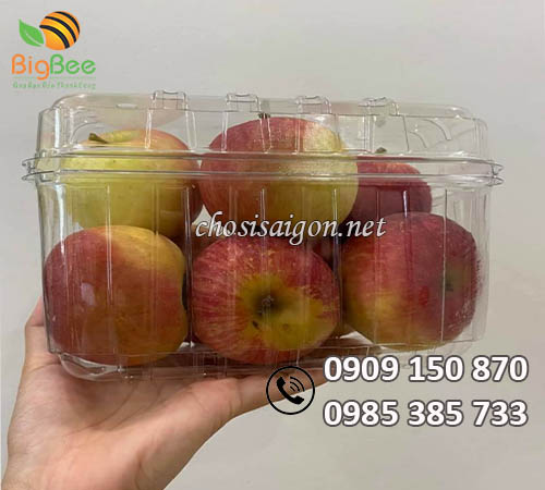 Hộp nhựa đựng táo giá sỉ rẻ tại TP.HCM