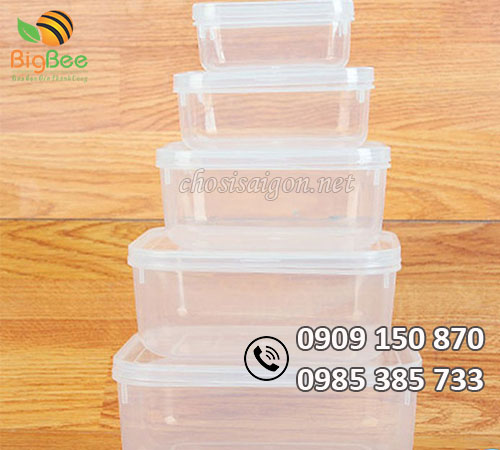 Hộp nhựa đựng thức ăn các loại giá rẻ