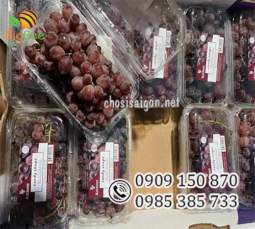 Hộp nhựa đựng trái cây 1kg giá sỉ rẻ, freeship HCM