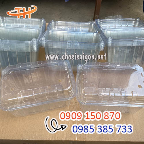 Hộp nhựa đựng táo 1 ký giá siêu rẻ