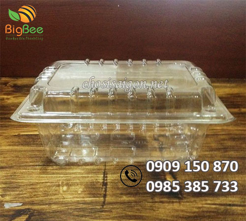 Hộp nhựa đựng trái cây, rau mầm 1kg giá sỉ