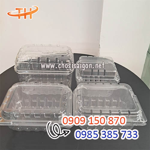 Hộp nhựa đựng trái cây 250g, 500g, 1 ký sỉ rẻ HCM