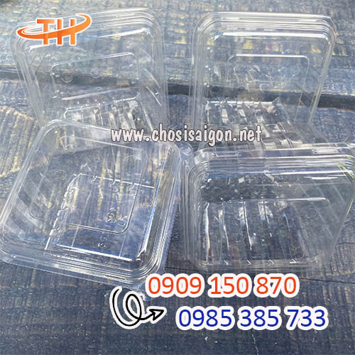 Hộp nhựa đựng dâu tây 250g sỉ siêu rẻ