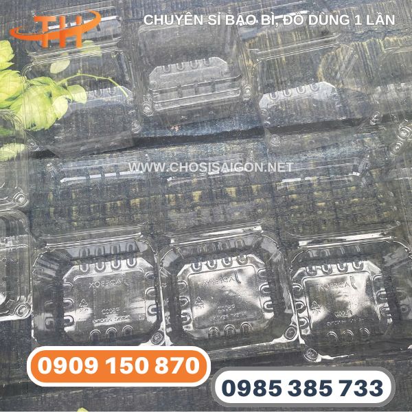 Hộp nhựa đựng trái cây 250g sỉ rẻ