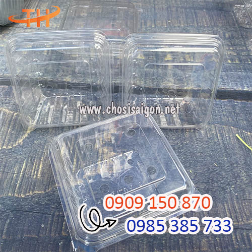 Hộp nhựa đựng trái cây 250gr sỉ tận gốc