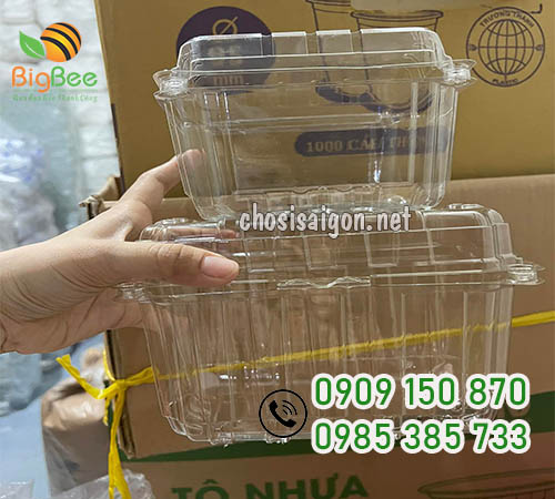 Hộp nhựa đựng dâu tây 500g, 1kg giá tốt tại TP.HCM