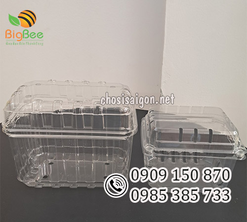 Hộp nhựa đựng dâu tây, táo, nho 500g, 1kg giá sỉ rẻ