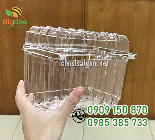 Hộp nhựa đựng trái cây, rau, củ, quả sỉ rẻ