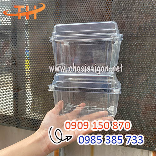 Hộp nhựa đựng trái cây 500g sỉ rẻ nhất
