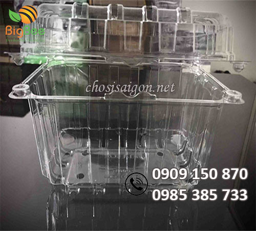 Hộp nhựa đựng trái cây 500g giá rẻ