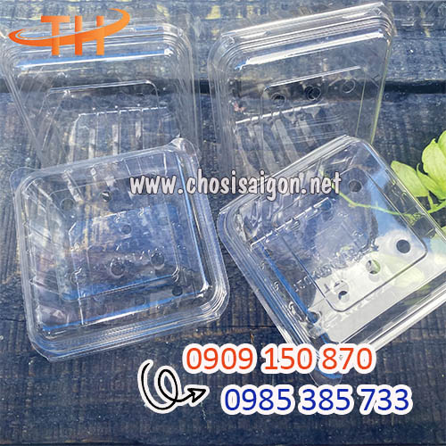 Hộp nhựa đựng trái cây 250g, 500g, 1 ký giá rẻ