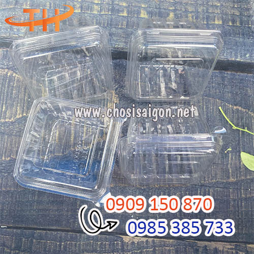 Hộp nhựa đựng trái cây 250g giá sỉ rẻ