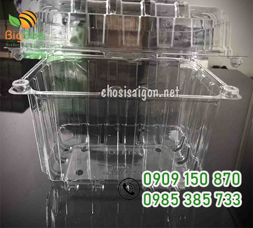 Hộp nhựa trong đựng nho 1kg P1000B giá rẻ