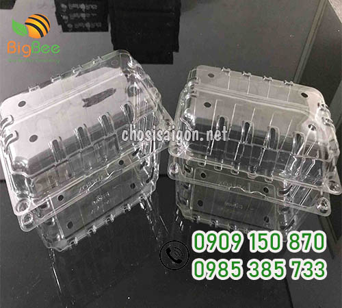 Hộp nhựa đựng cherry P500B, P1000B giá sỉ rẻ TP.HCM