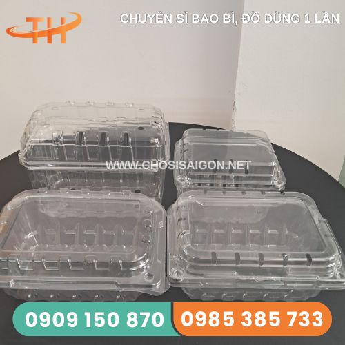 Hộp nhựa đựng trái cây 250g, 500g, 1 ký