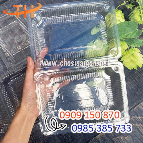 Hộp nhựa kiếng trong H05 giá sỉ rẻ