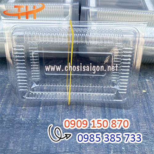 Hộp nhựa H21 giá sỉ rẻ