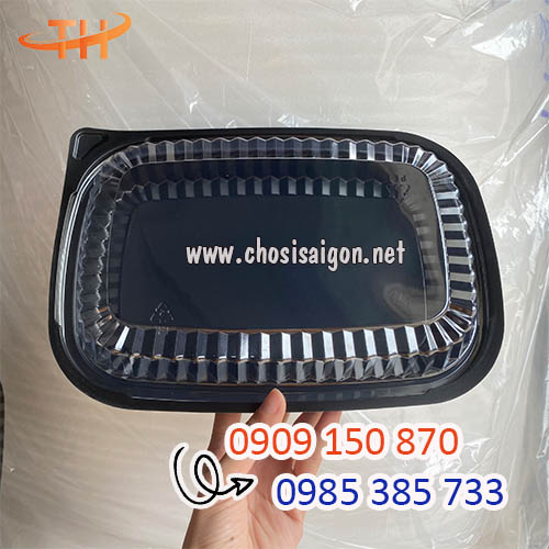 Hộp nhựa HT203 1 ngăn đựng cơm giá rẻ