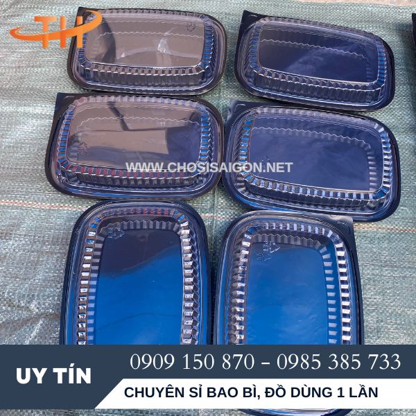 Hộp, khay nhựa HT203 có nắp giá rẻ