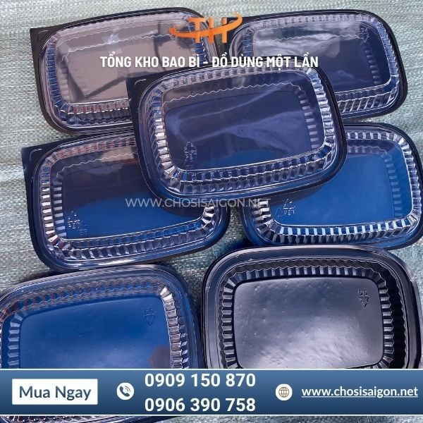 Hộp nhựa HT203 dày dặn, cứng cáp, 1 ngăn tiện lợi giá rẻ
