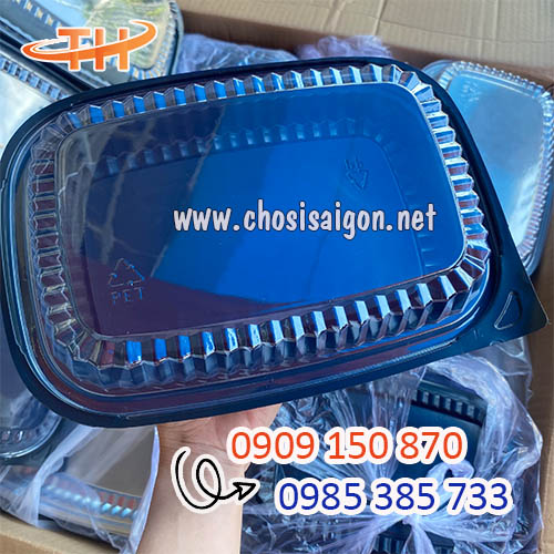 Hộp nhựa đế đen HT203 giá sỉ rẻ mua tại HCM