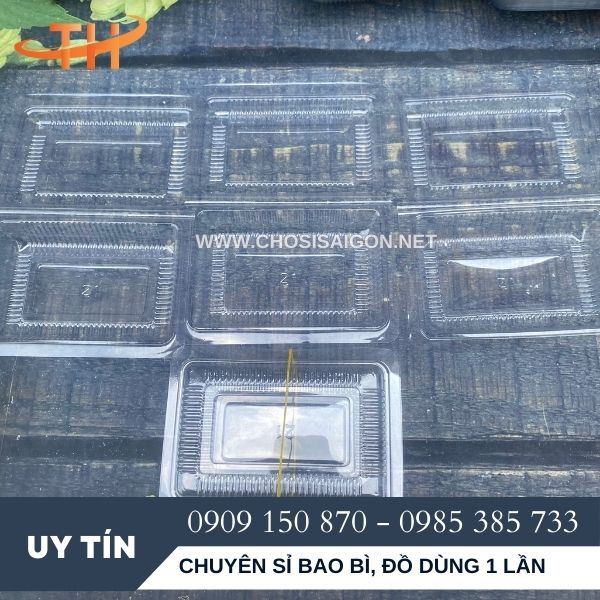 Hộp nhựa kiếng H21 giá rẻ tại Bình Chánh