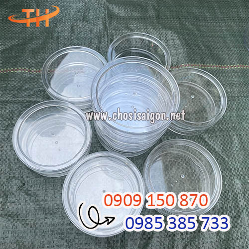 Hộp nhựa cứng mica 250g giá rẻ