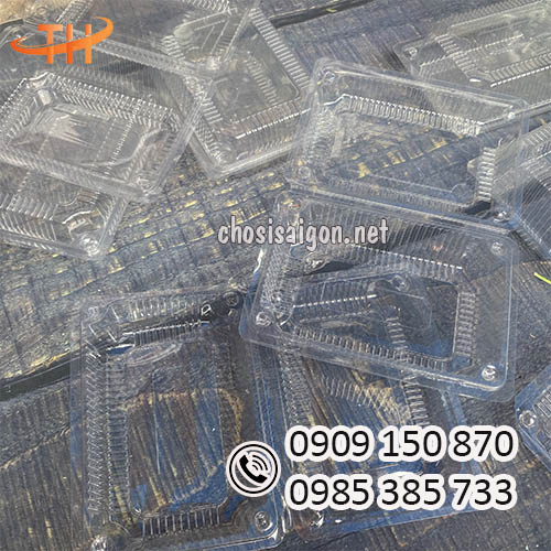 Hộp nhựa đựng trái cây cắt sẵn sỉ rẻ, freeship HCM