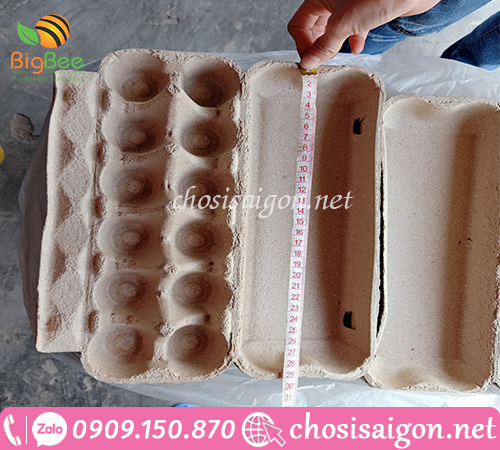 Hộp trứng giấy 12 quả giá siêu rẻ