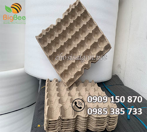 Công ty Thu Hồng phân phối vỉ trứng giấy