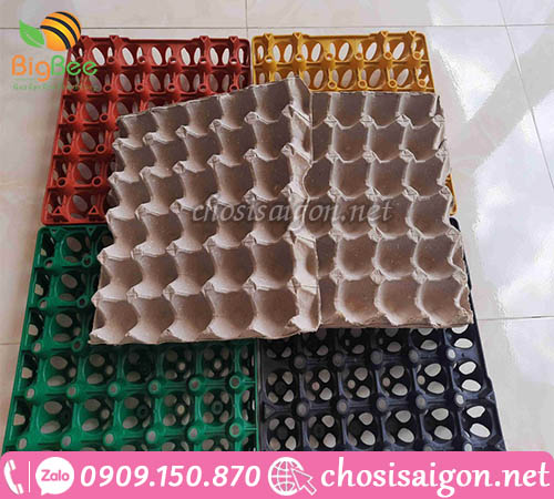 Khay đựng trứng gà vịt giá rẻ