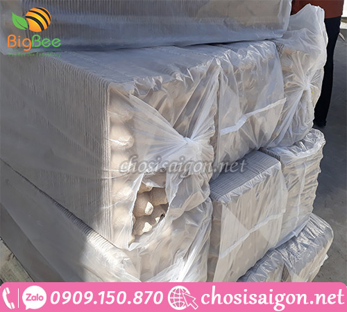 Kho cung cấp khay đựng trứng giá rẻ