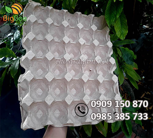 Phân phối khay giấy đựng 30 trứng Malaysia giá rẻ